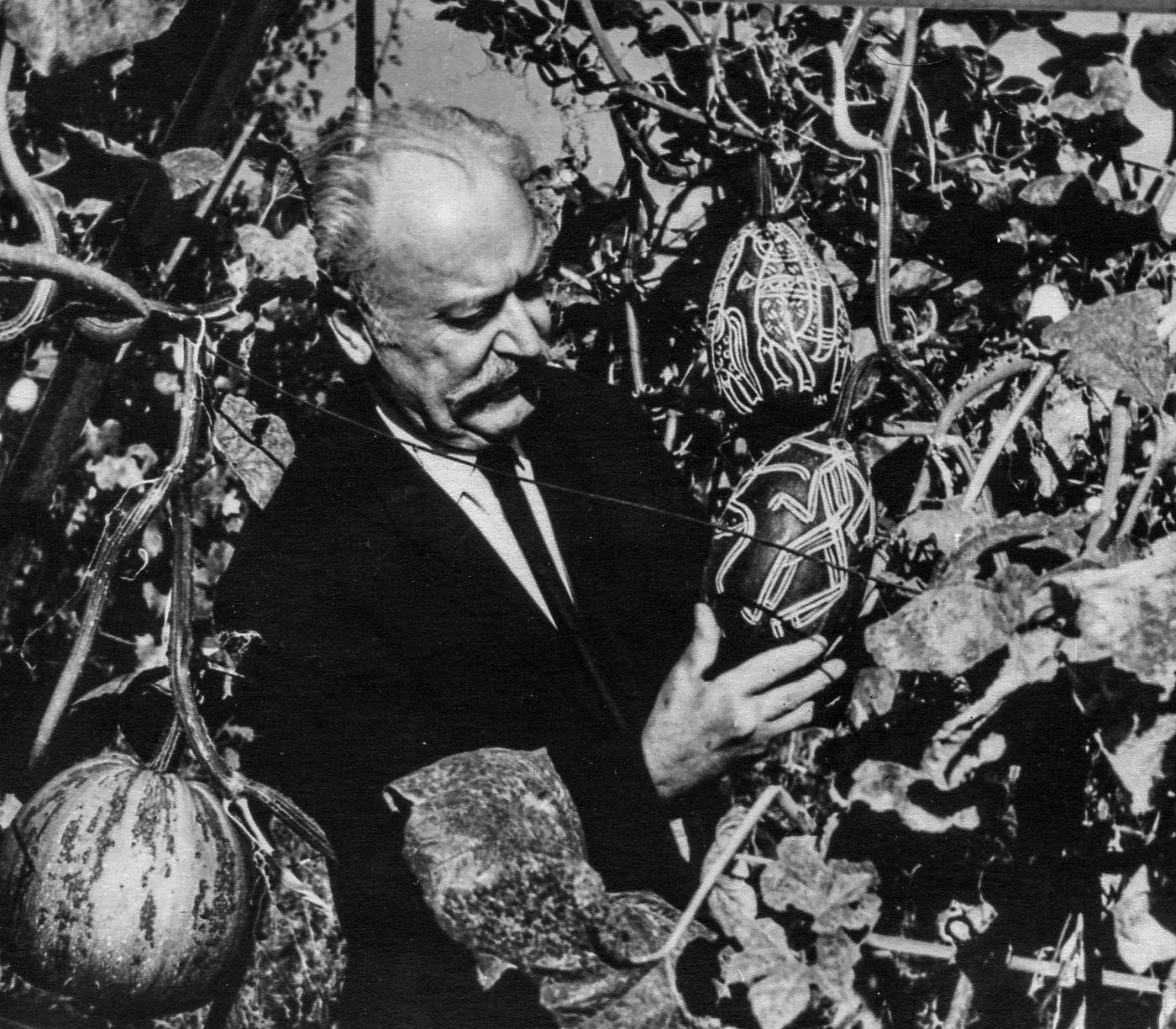 Fedir Manailo in the garden with pumpkins, 1975