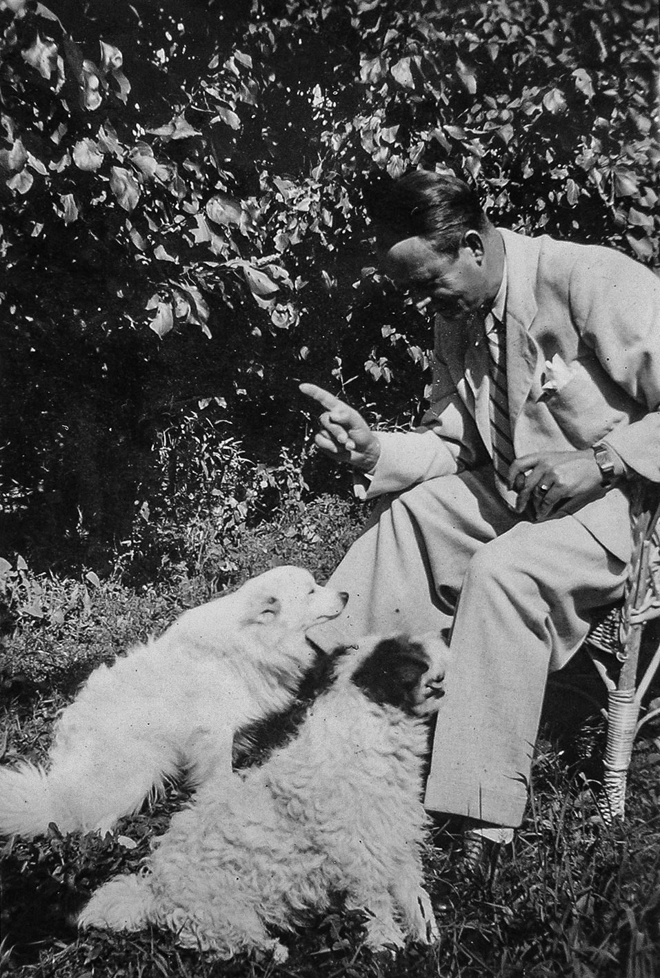 Adalbert Erdeli with his dogs