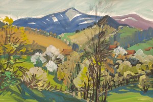 V. Hanzel Spring Above The Plai Mountain'