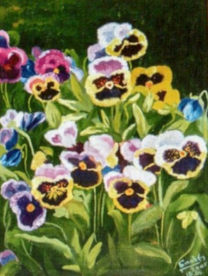 'Pansy Flowers'
