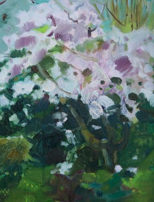 Y. Katran Cherry Blossom', 2016, oil on canvas, 30x40
