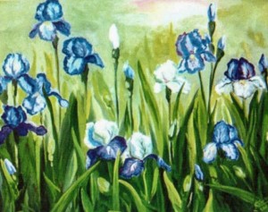 Irises'