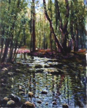 Forest River, 1984, 65x55
