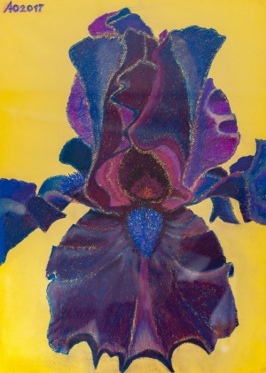 'Confident, Dominant, Seductive, And The One Sparkling – A Velvet Iris Inha', 2017, pastel on paper
