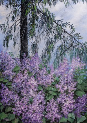 N. Popovych "Lilac And Fir Tree"