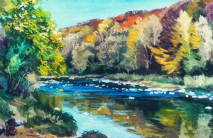 Autumn in the River Uzh