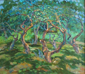 Apple-tree garden