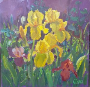 Blooming irises