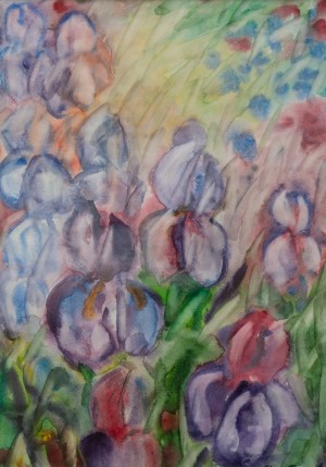 Irises, 2014, watercolour on paper, 43x60