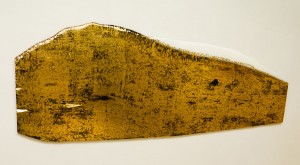 Із серії "Золото Карпат", 2012, дошка, акр.,золота поталь, 60х164