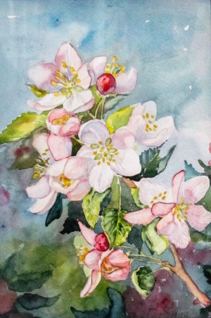 M. Havrylo 'Apple Tree Blossoms' 