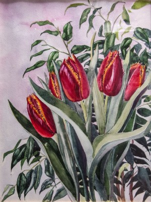 M. Havrylo 'Tulips' 