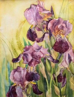 M. Havrylo 'Irises' 